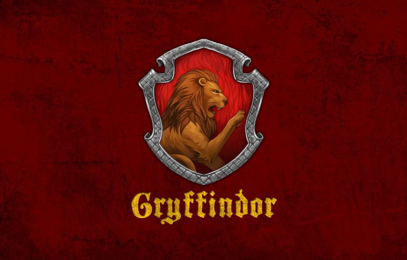 Photo wallpaper Harry Potter, Harry Potter, Gryffindor, Gryffindor