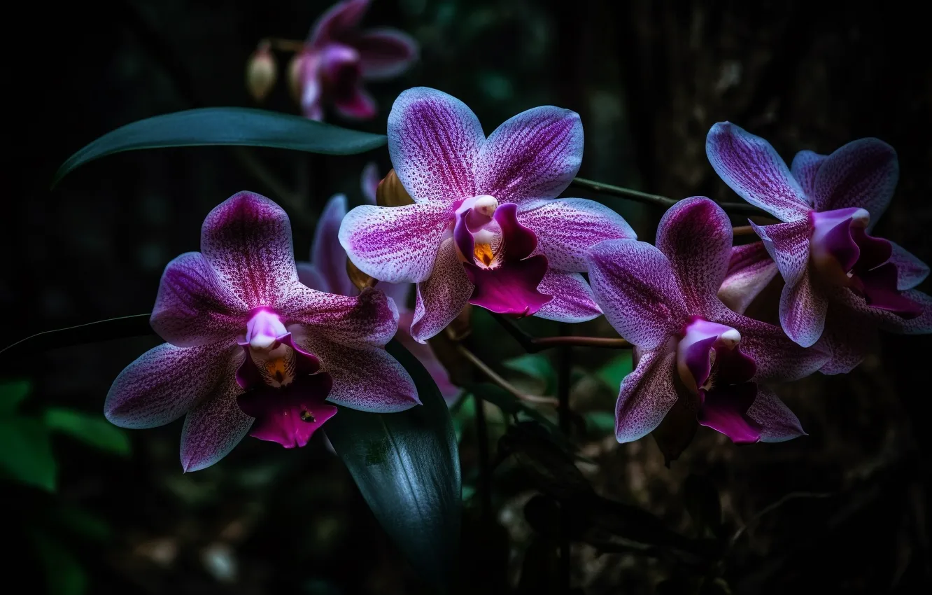 Photo wallpaper flowers, Orchid, lilac, AI art, neural network