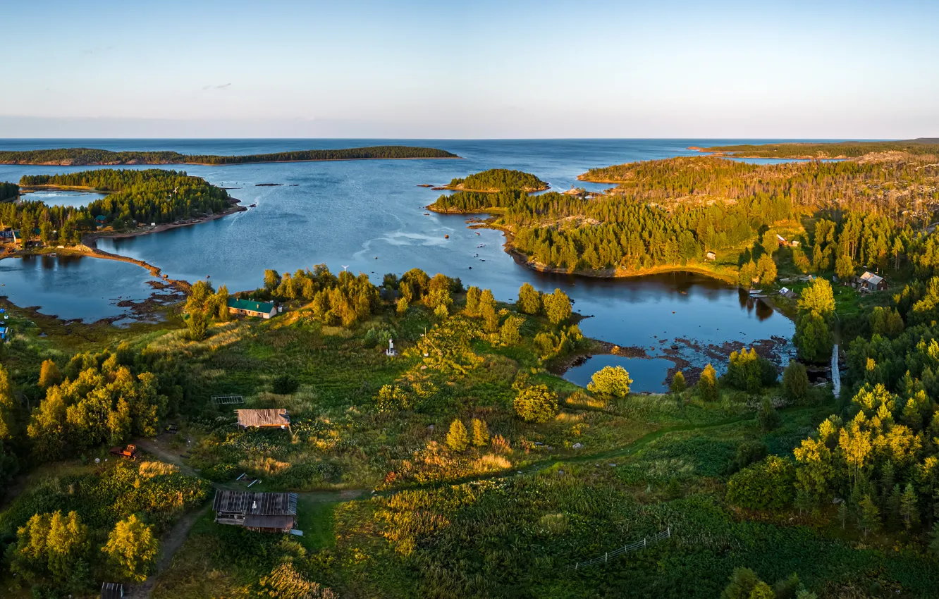 Photo wallpaper forest, lake, Russia, Arkhangelsk oblast, Kenozersky National Park