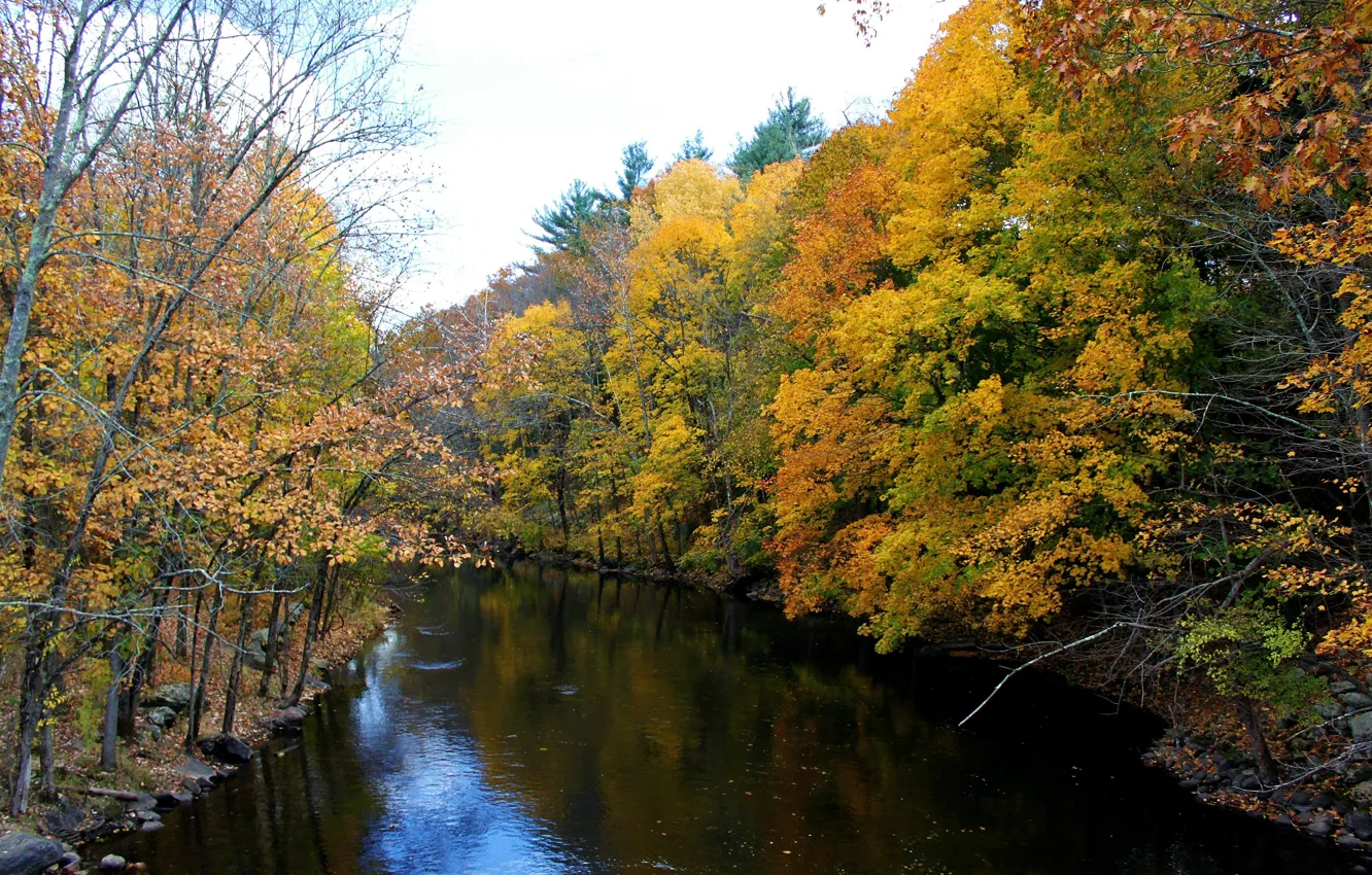 Photo wallpaper autumn, trees, colors, channel, trees, nature, autumn, scenery