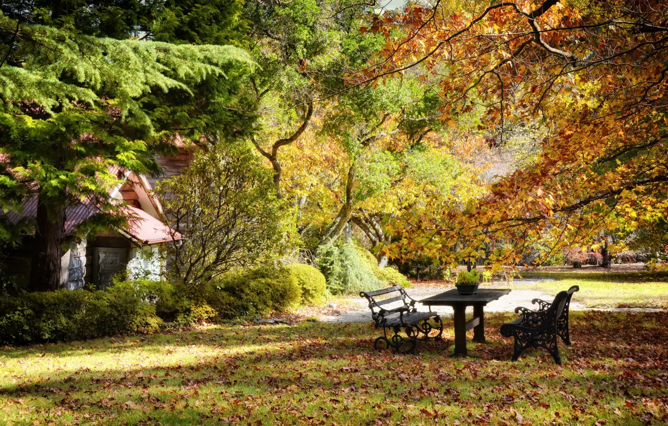 Photo wallpaper autumn, trees, Park, table, foliage, benches