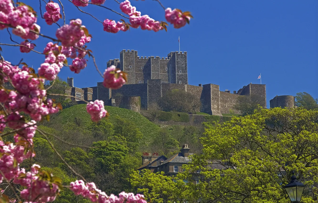 Photo wallpaper the sky, flowers, England, Kent, fortress, Dover