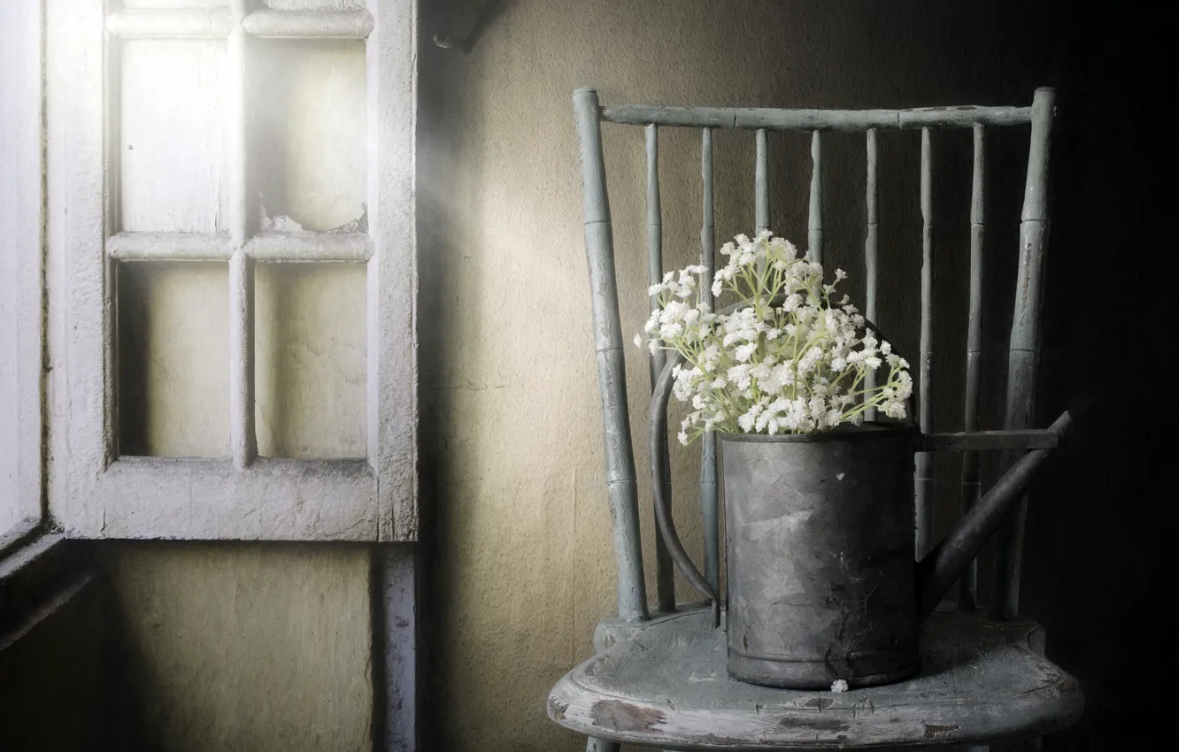 Photo wallpaper flowers, window, chair