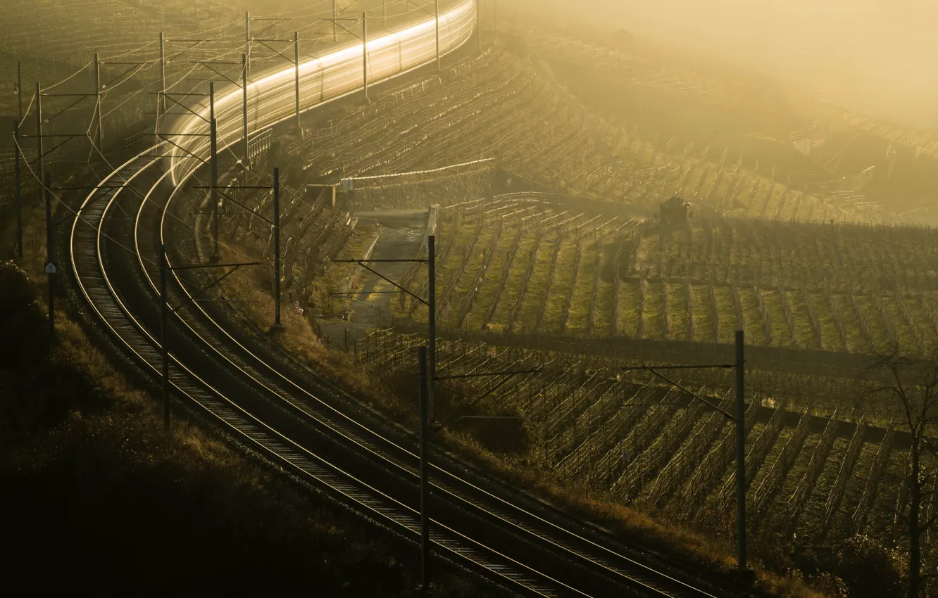 Photo wallpaper fog, morning, railroad