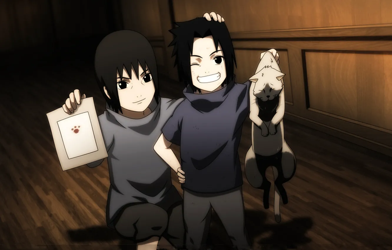 Photo wallpaper cat, smile, art, Anime, Sasuke, Naruto, Naruto, Uchiha Itachi