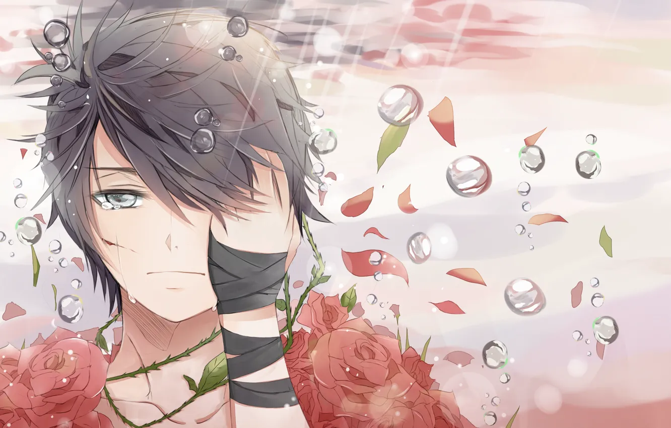 Photo wallpaper drops, roses, tears, art, tape, guy, wound, teichi