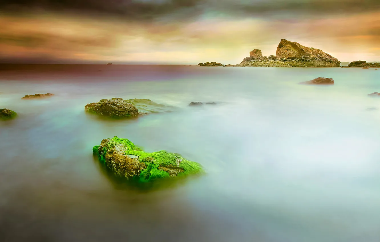 Photo wallpaper sea, the sky, clouds, algae, stones, rocks