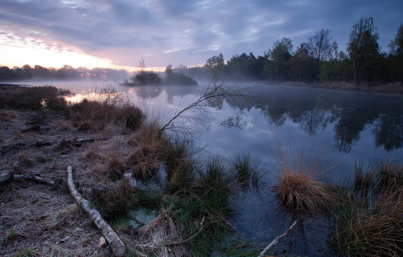 Photo wallpaper landscape, fog, river, morning