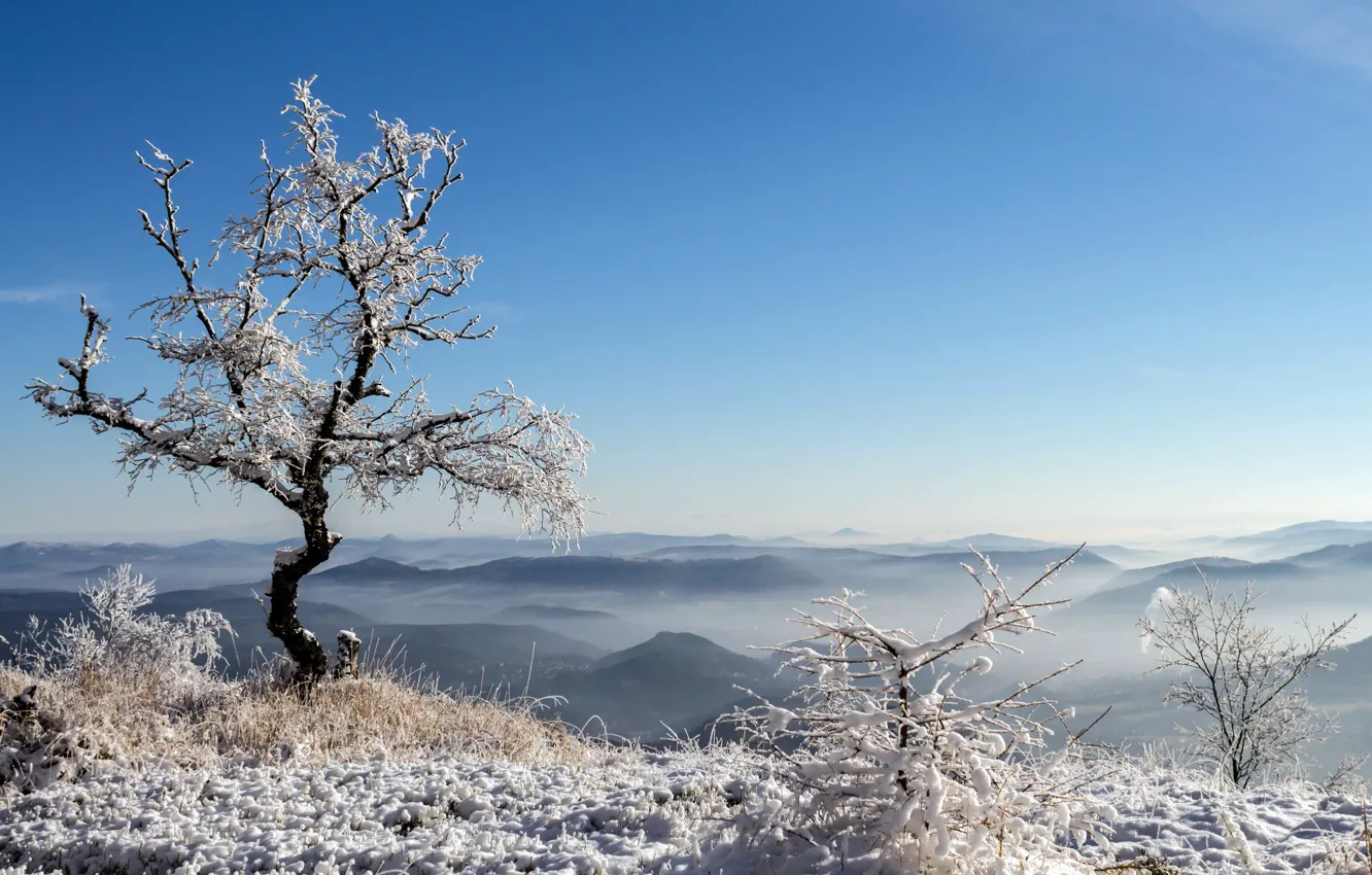 Photo wallpaper the sky, snow, trees, mountains