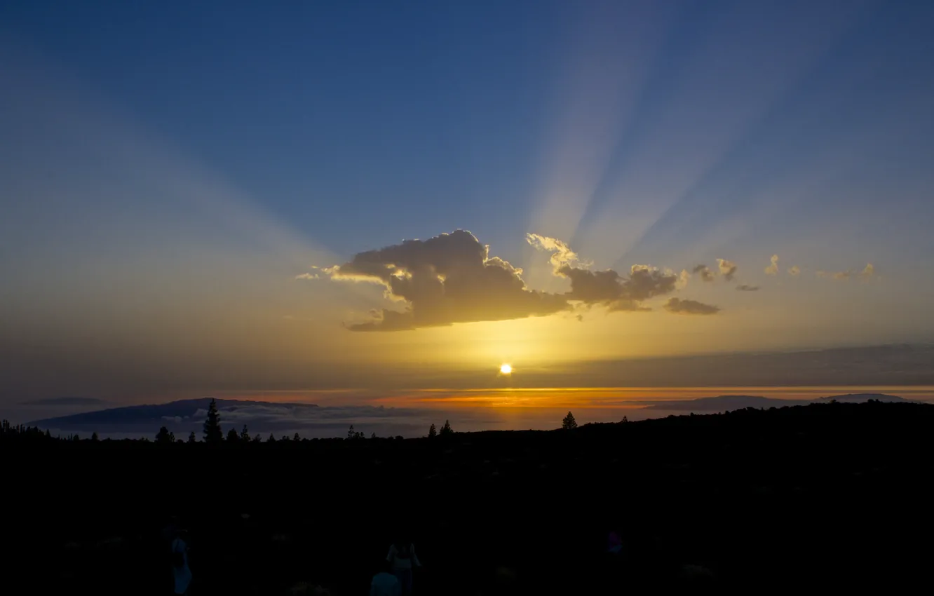 Photo wallpaper the sky, the sun, clouds, trees, sunset, mountains