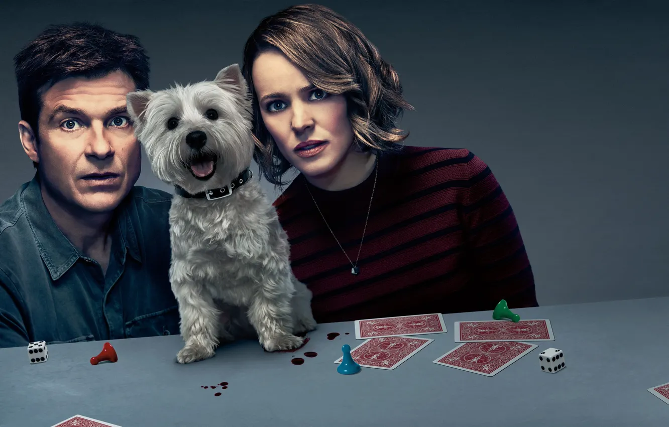 Photo wallpaper card, table, background, cubes, dog, chips, Rachel McAdams, poster