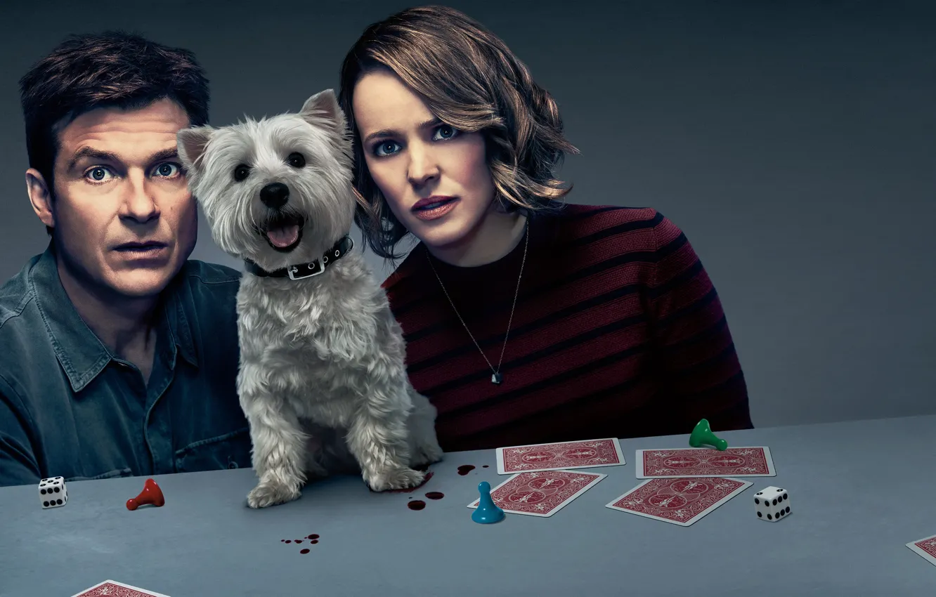 Photo wallpaper table, background, cubes, map, dog, chips, Rachel McAdams, poster