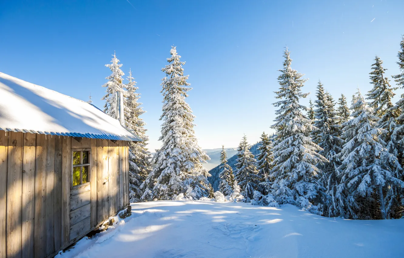 Photo wallpaper winter, snow, trees, landscape, river, tree, hut, forest