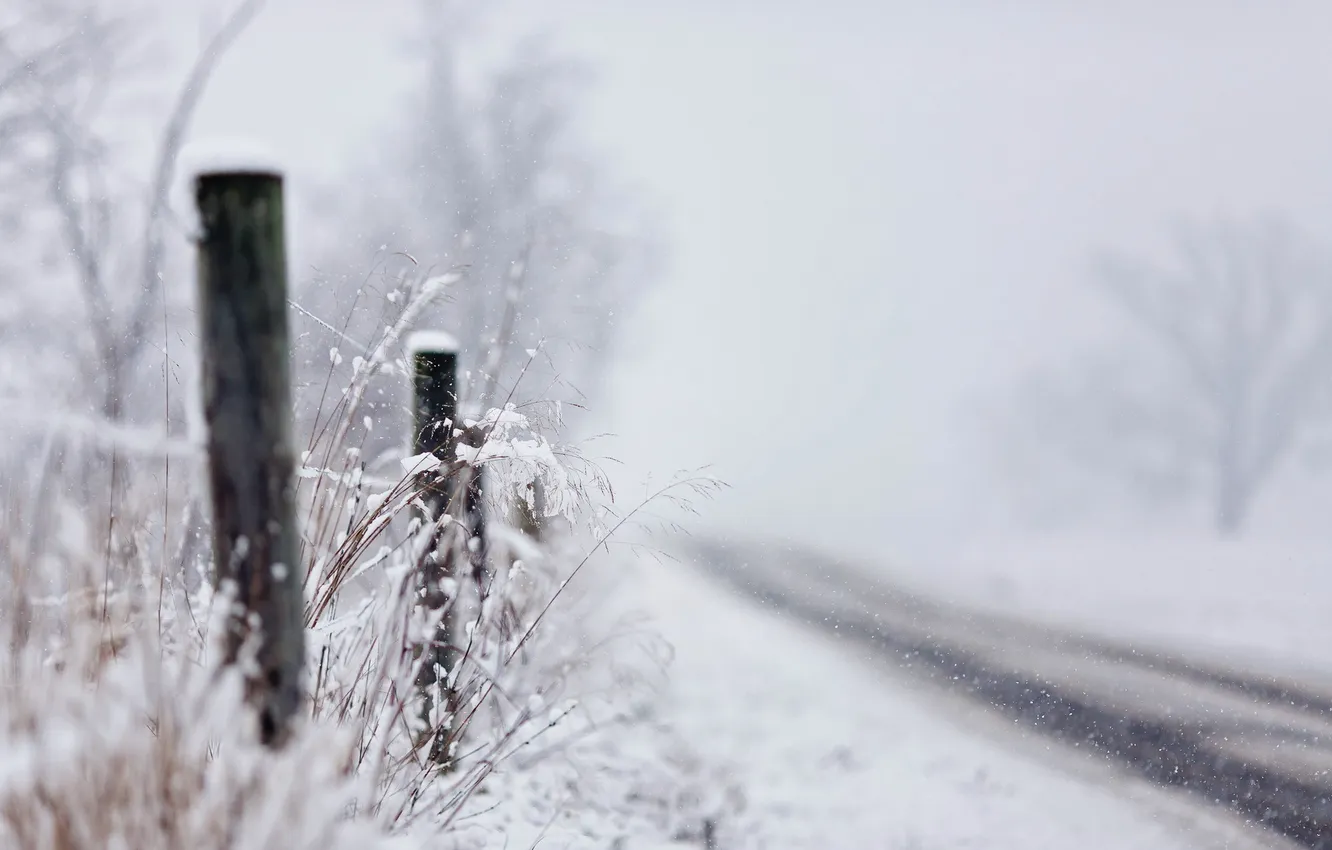 Photo wallpaper road, grass, macro, snow, the fence