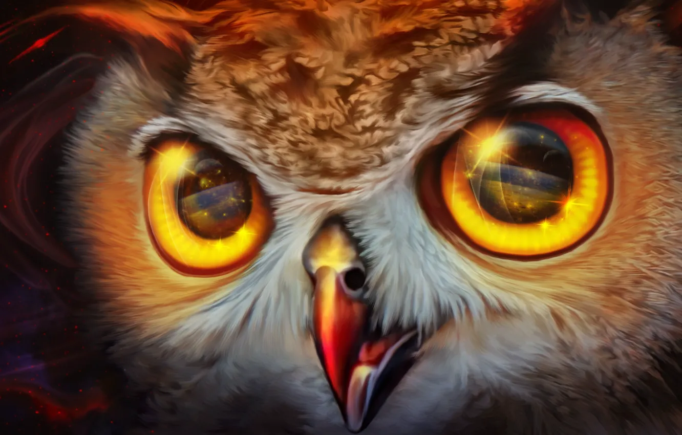 Photo wallpaper space, owl, by exobiology
