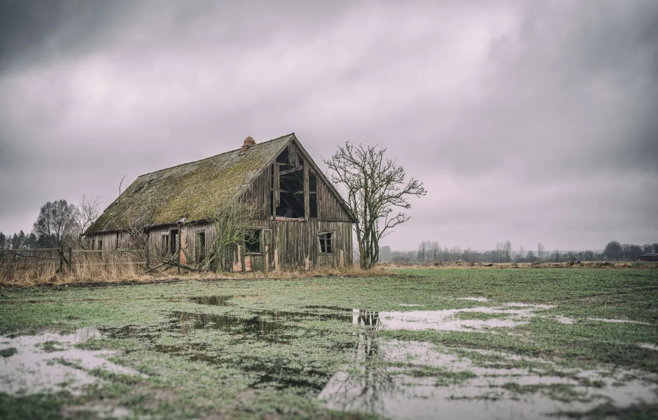Photo wallpaper field, nature, home