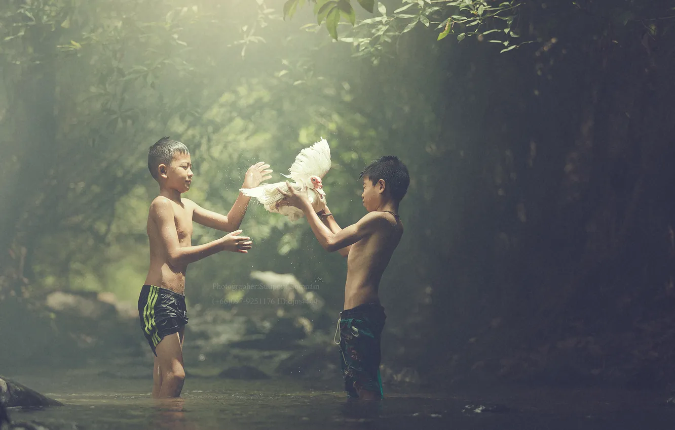 Photo wallpaper National Geographic, national, geographic, Winners, Travel Photo Contest