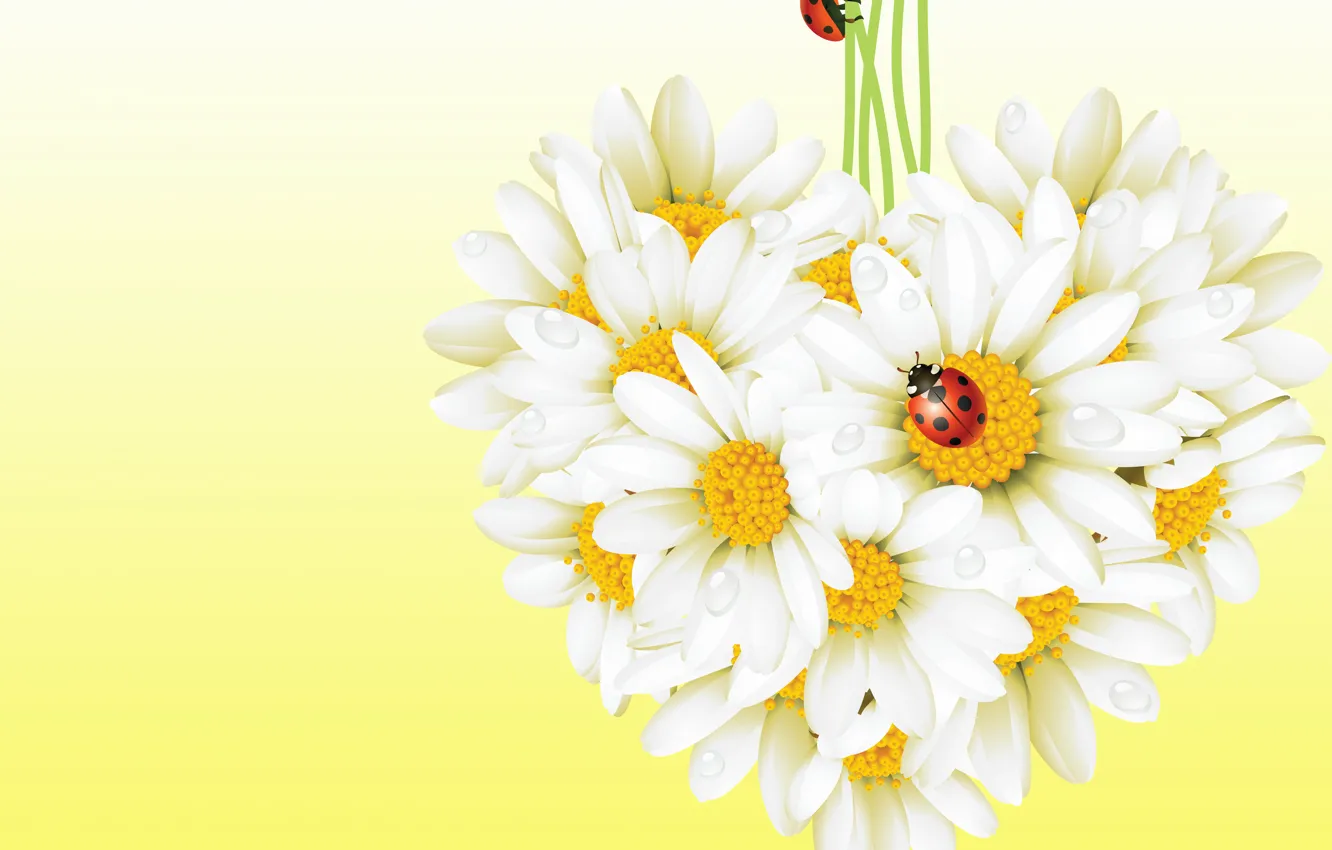 Photo wallpaper flowers, insects, ladybug, Daisy