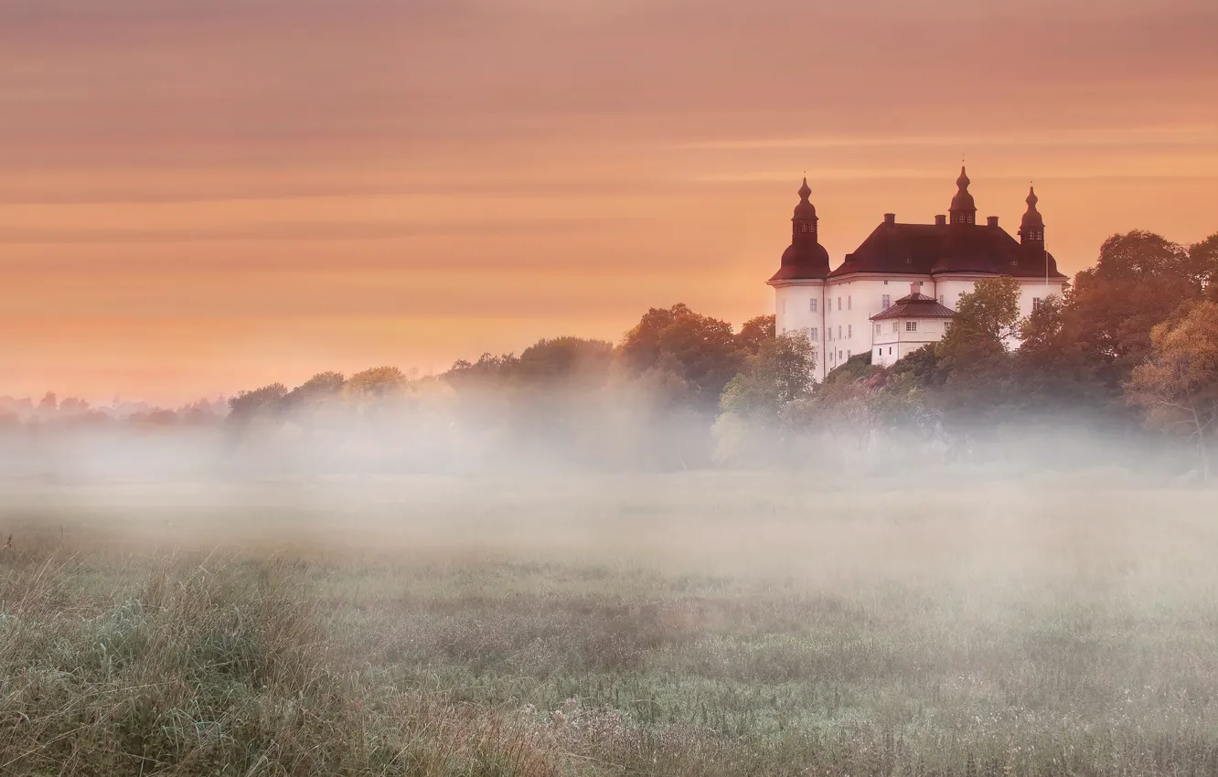 Photo wallpaper field, autumn, forest, the sky, grass, trees, fog, dawn
