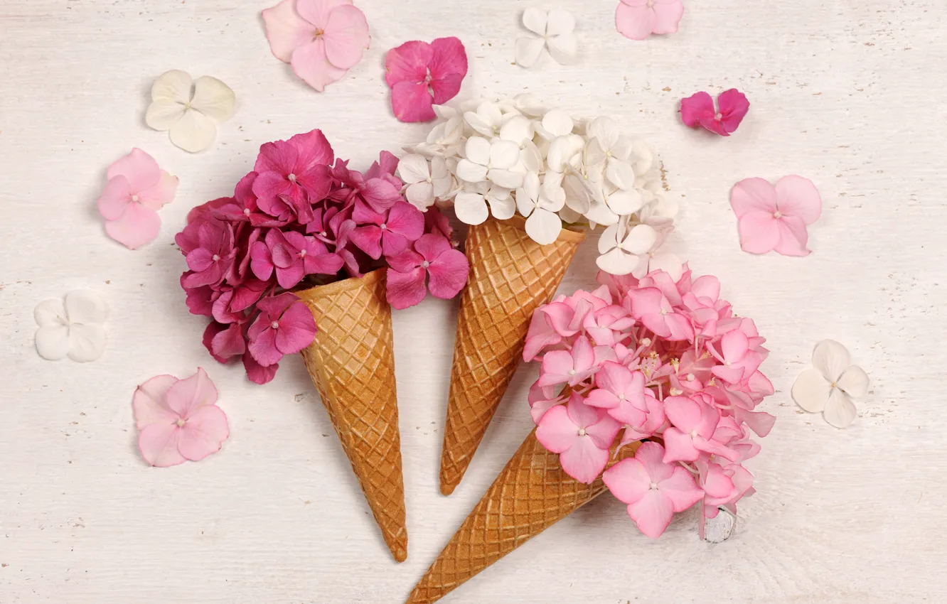 Photo wallpaper flowers, beautiful, waffle cone