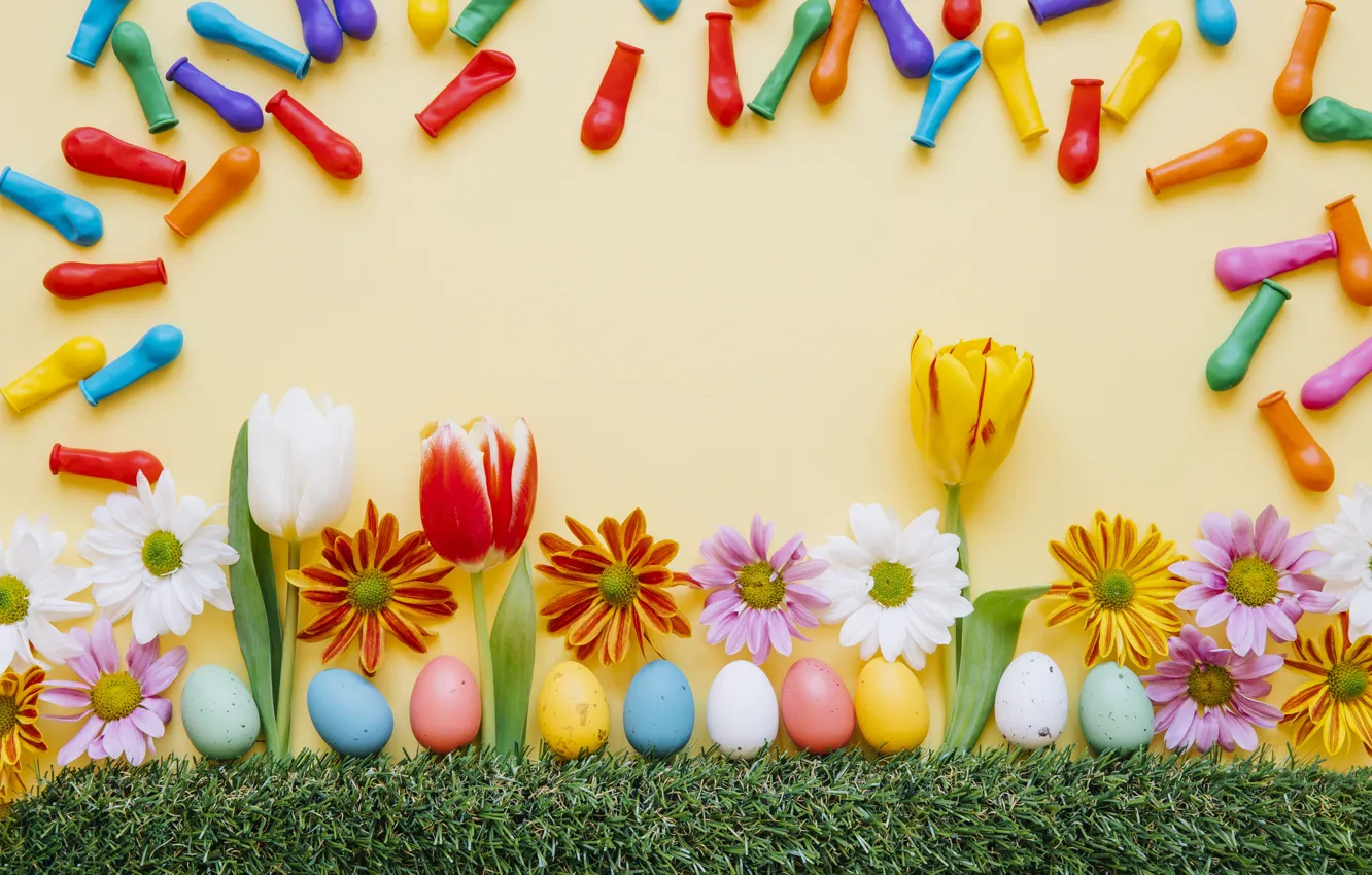 Photo wallpaper flowers, chamomile, spring, colorful, Easter, tulips, chrysanthemum, flowers