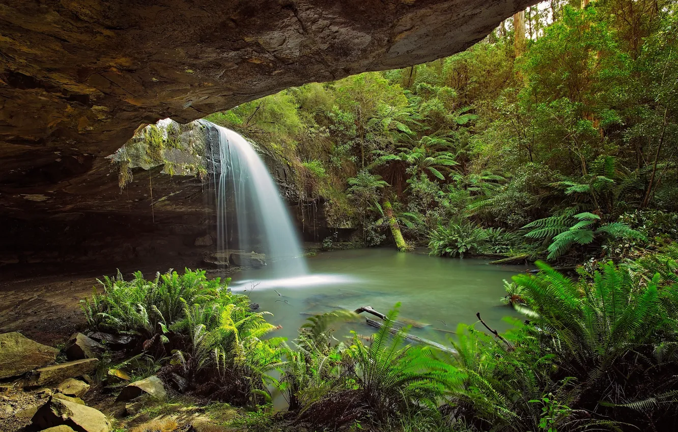 Photo wallpaper rocks, thickets, waterfall, Australia, cave, fern, the grotto
