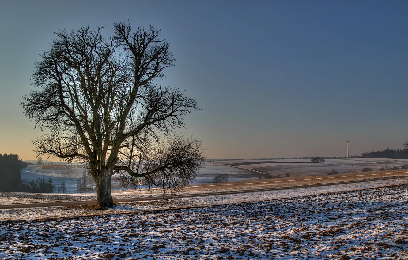 Photo wallpaper winter, road, field, snow, nature, photo, tree