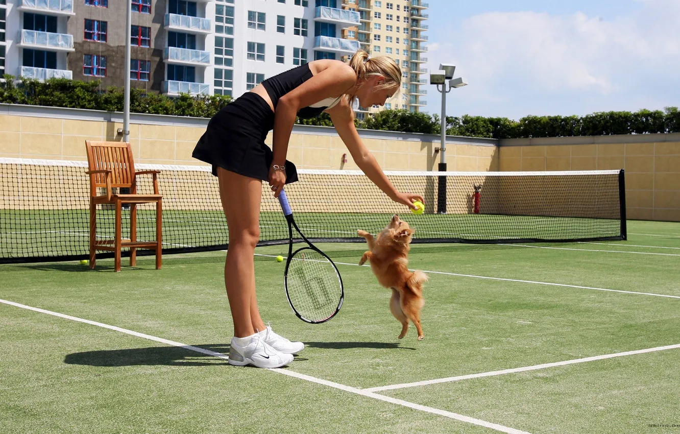 Photo wallpaper girl, mesh, model, the ball, dog, chair, tennis player, racket