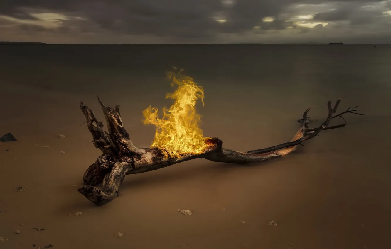 Photo wallpaper sea, tree, fire, shore