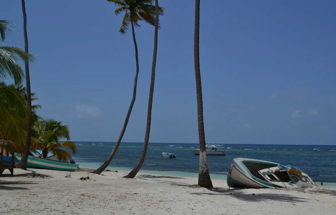 Photo wallpaper sea, beach, palm trees, stay, Dominican Republic
