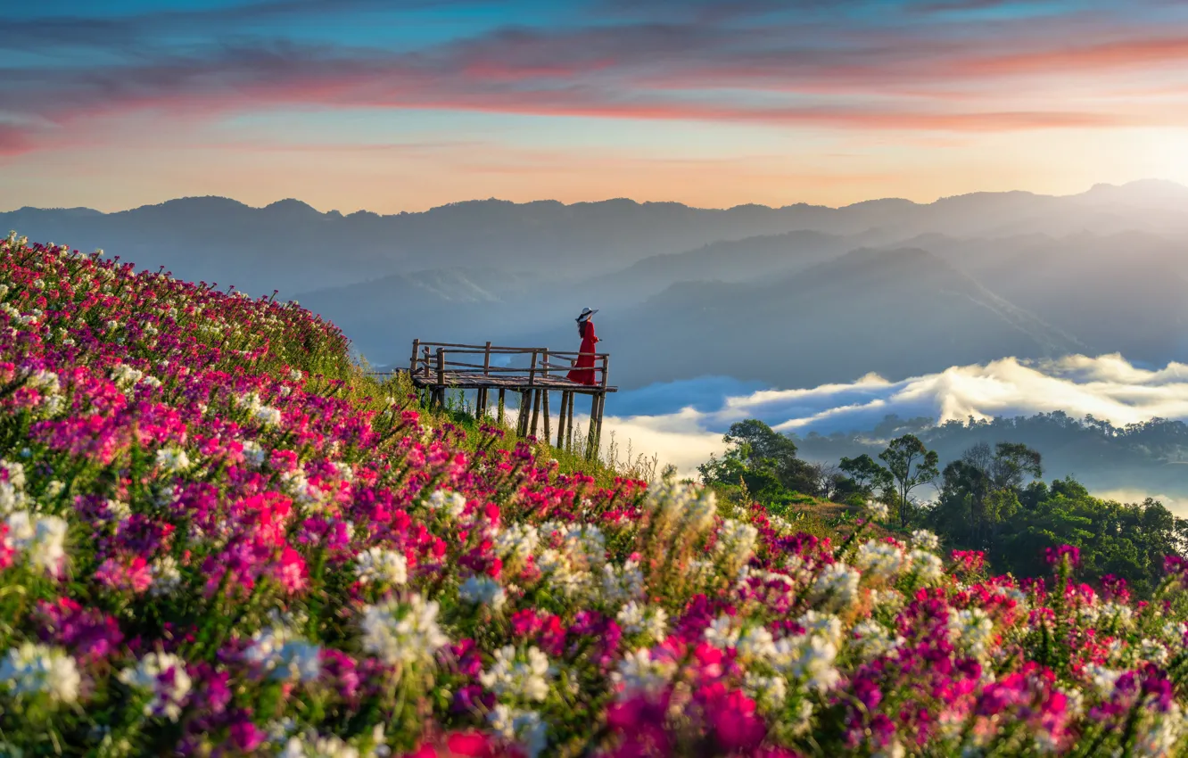 Photo wallpaper girl, flowers, mountains, dawn, morning, girl, field, landscape
