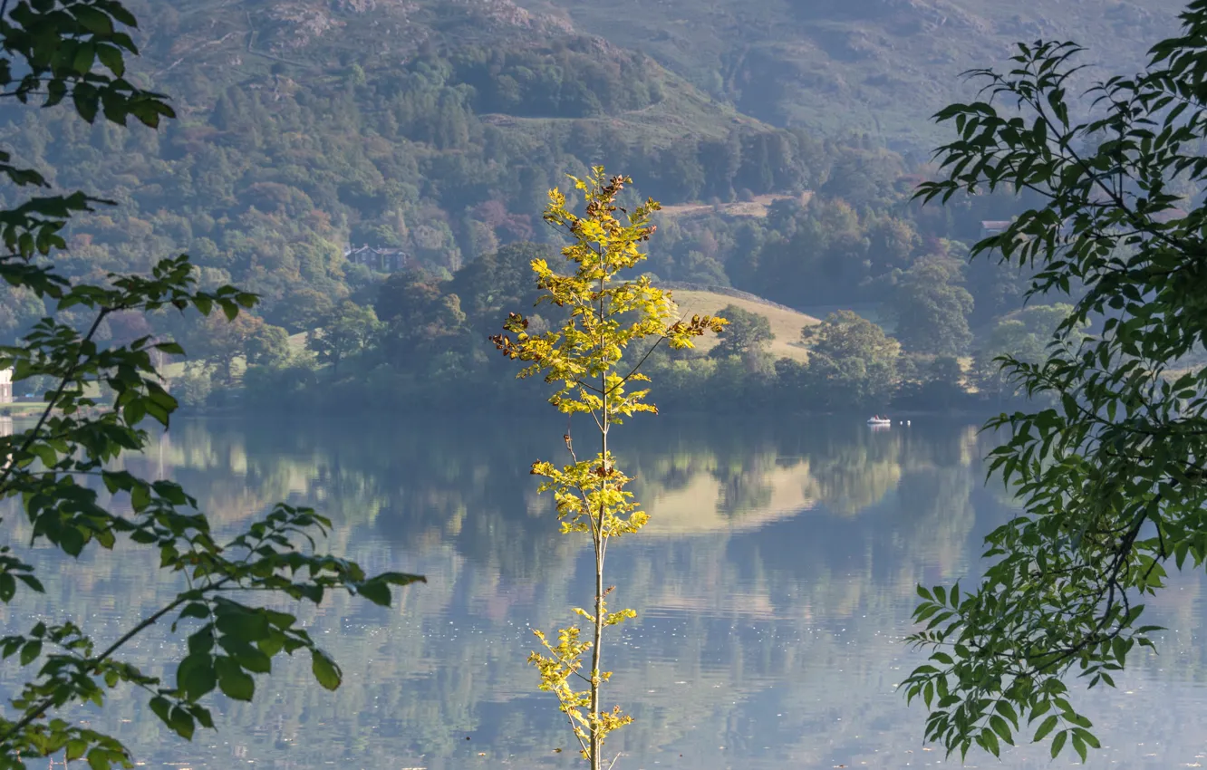 Photo wallpaper autumn, trees, mountains, lake, slope