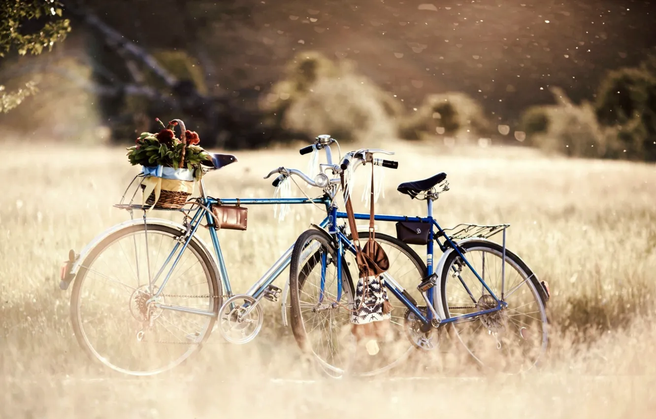 Photo wallpaper greens, grass, trees, flowers, nature, bike, background, mood