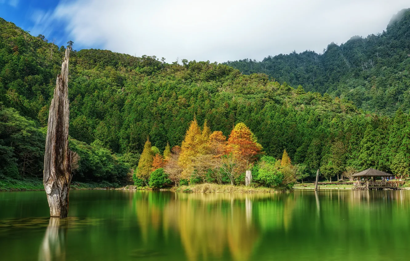 Photo wallpaper autumn, forest, nature, lake, Taiwan, gazebo, Mingchi National Forest