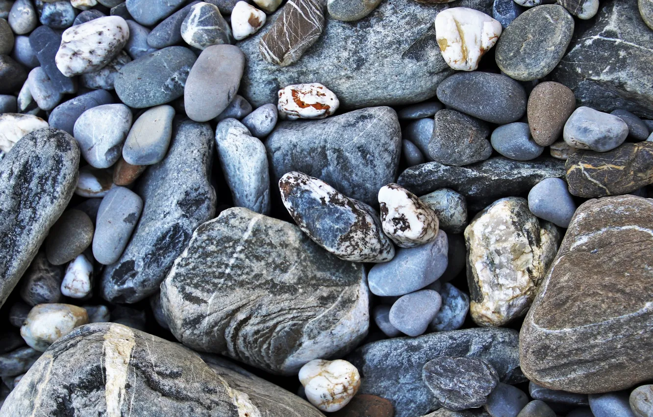 Photo wallpaper pebbles, stones, grey, background, blue, texture, placer, different