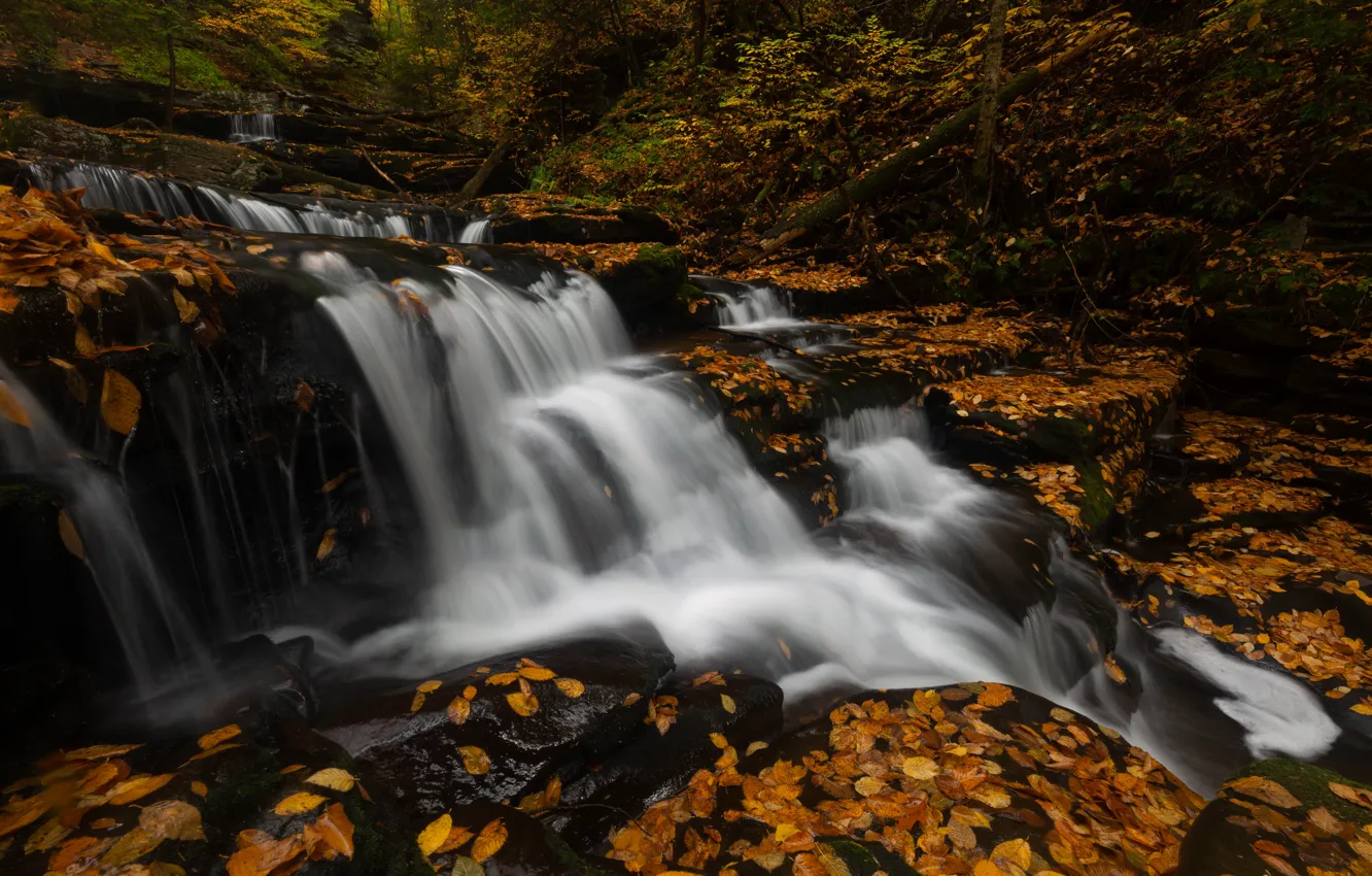 Photo wallpaper autumn, leaves, stones, foliage, waterfall, stream, yellow, cascade