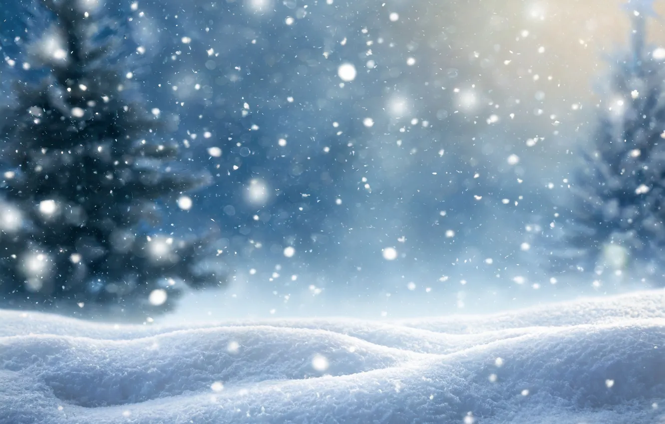 Photo wallpaper winter, forest, snow, background, tree, new year, Christmas, forest