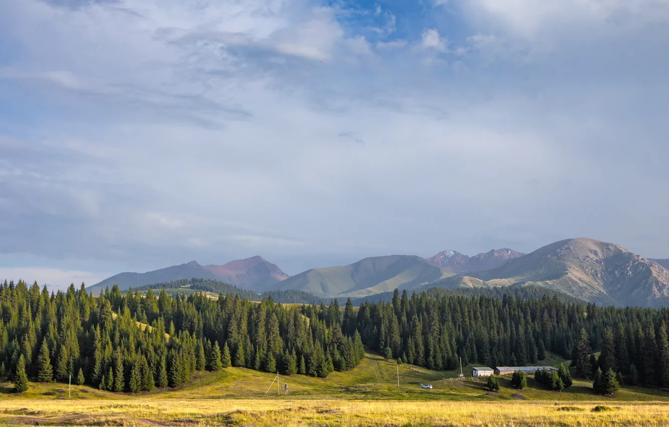 Photo wallpaper field, forest, the sky, clouds, mountains, hills, view, dal