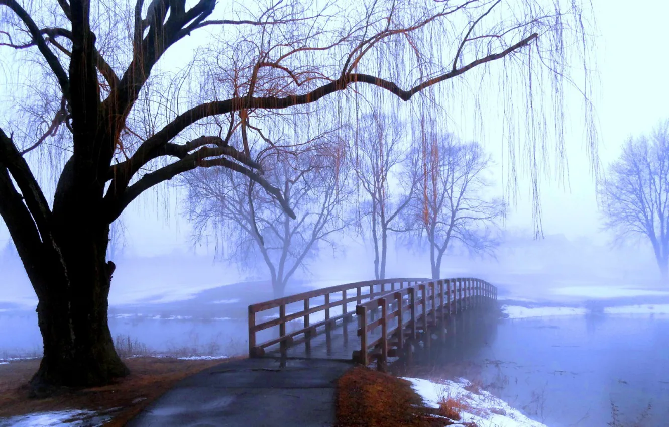 Photo wallpaper autumn, bridge, fog