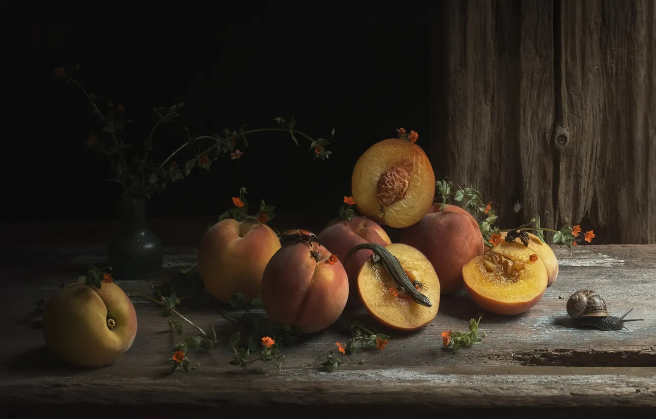 Photo wallpaper still life, setting, apricots, Natalia Ricci