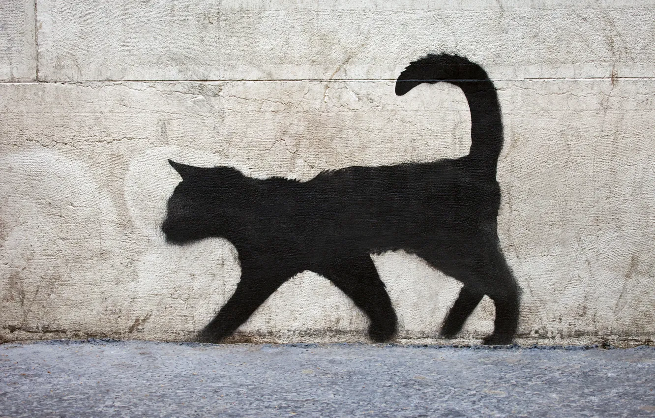 Photo wallpaper surface, wall, graffiti, texture, black cat, graffiti, brick, black cat