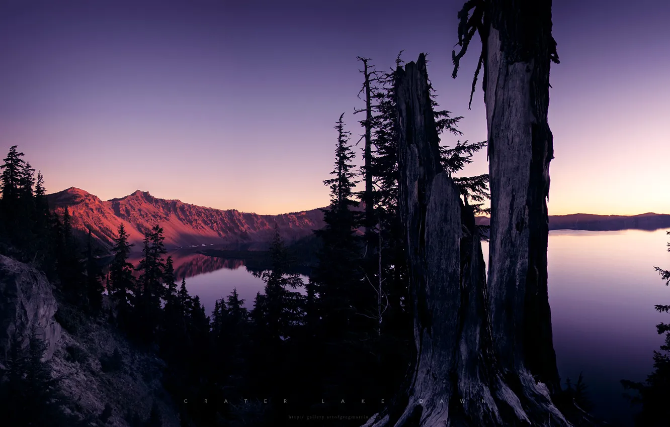 Photo wallpaper trees, sunset, mountains, lake