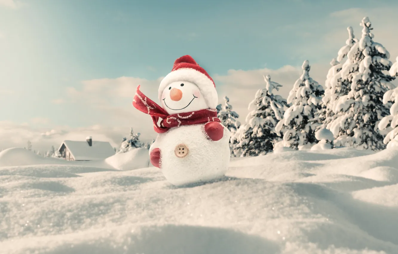 Photo wallpaper photo, Winter, Snow, Hat, New year, Scarf, Snowman