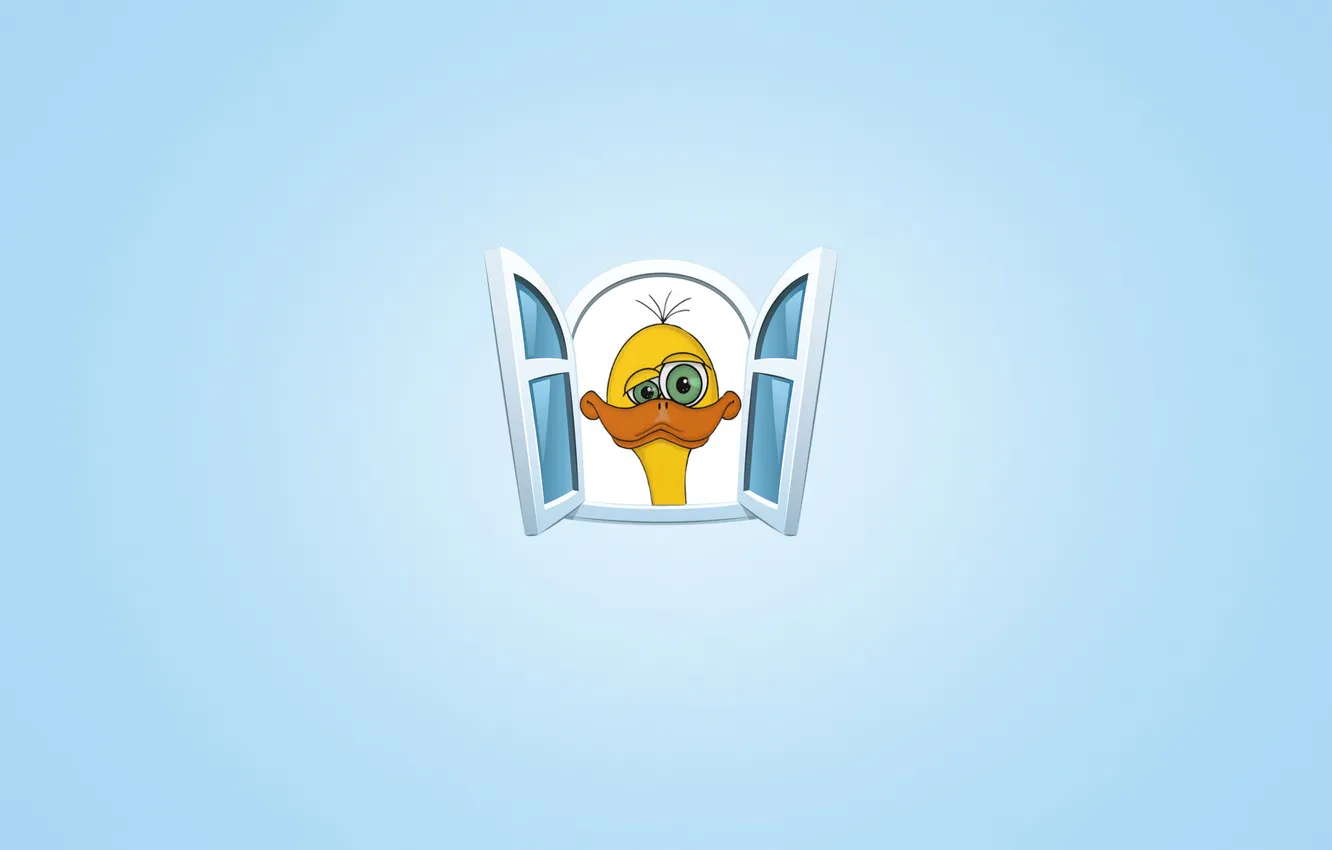 Photo wallpaper face, yellow, bird, window, ostrich, Chicks, blue background, Peeps