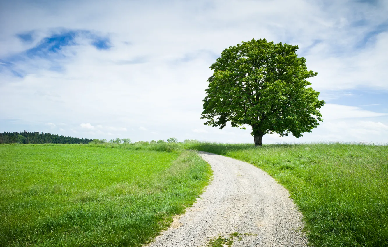 Photo wallpaper road, the sky, grass, trees