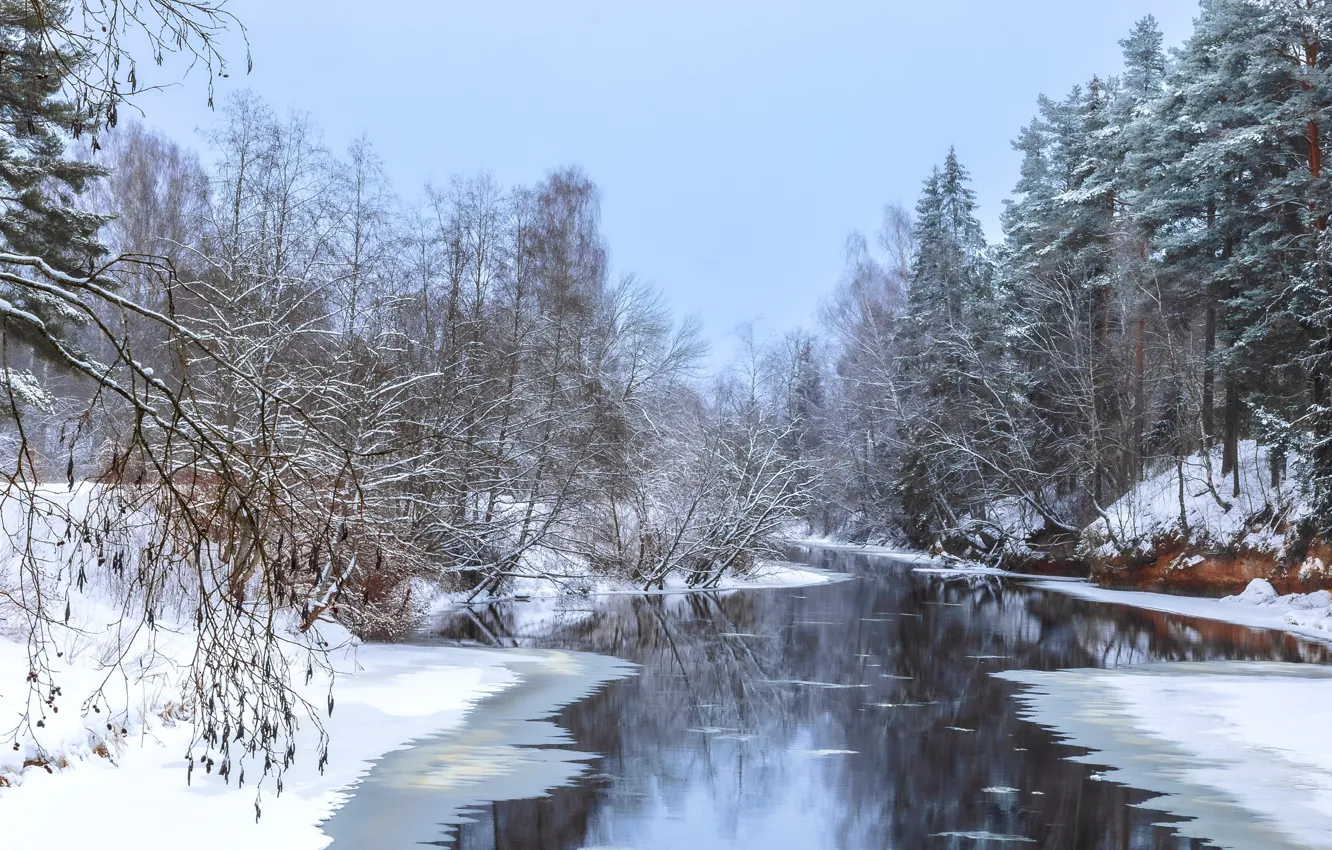 Photo wallpaper winter, forest, snow, landscape, nature, river, shore