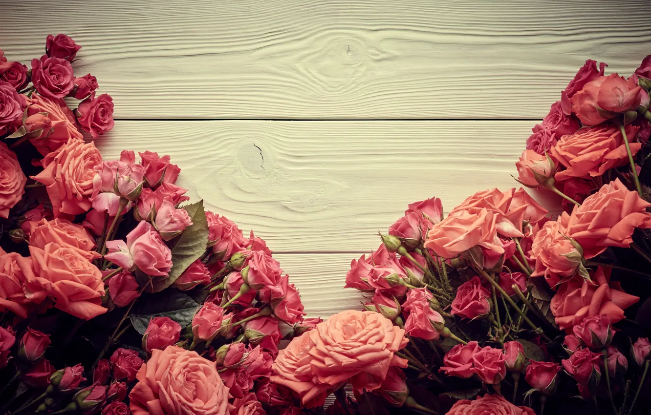 Photo wallpaper flowers, roses, pink, buds, wood, pink, flowers, beautiful