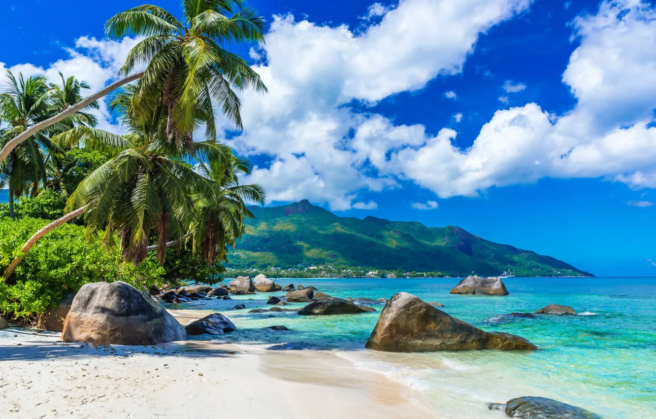 Photo wallpaper sand, sea, beach, mountains, stones, palm trees, Seychelles