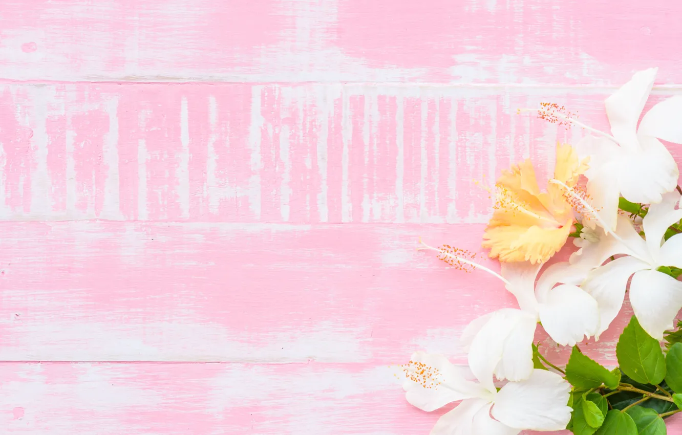 Photo wallpaper flowers, background, wood, pink, flowers