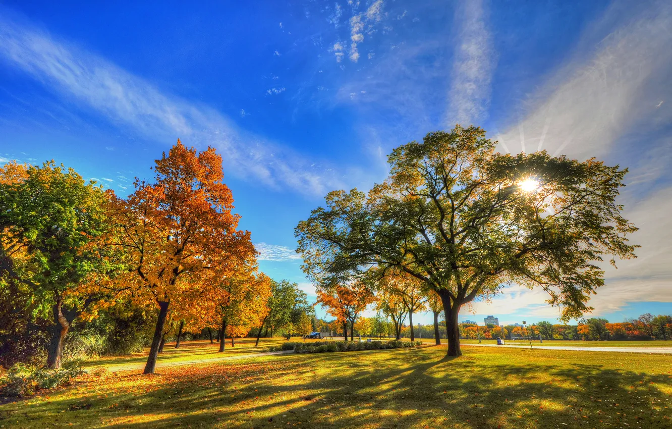 Photo wallpaper autumn, the sky, grass, leaves, clouds, trees, Park